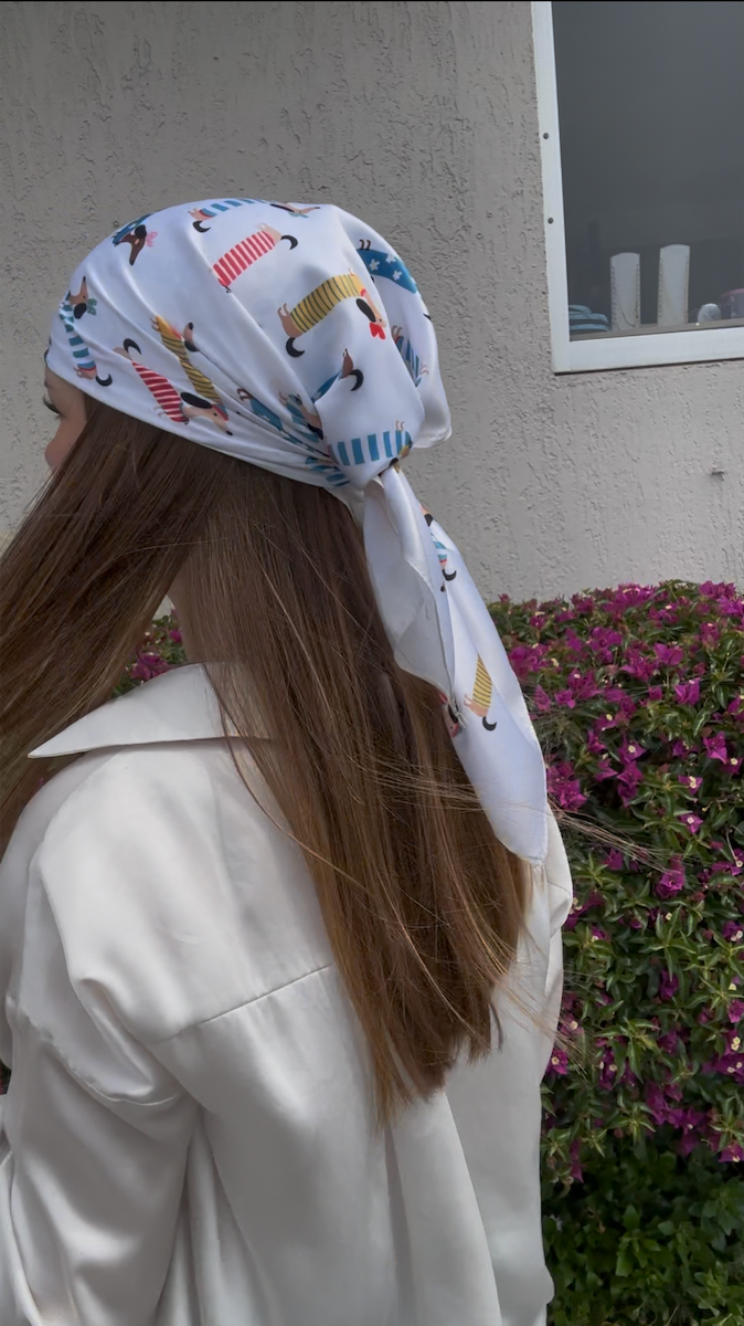 FOULARD TECKEL