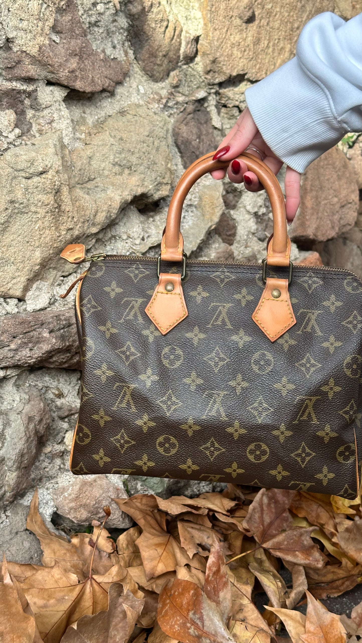 Louis Vuitton Speedy 25