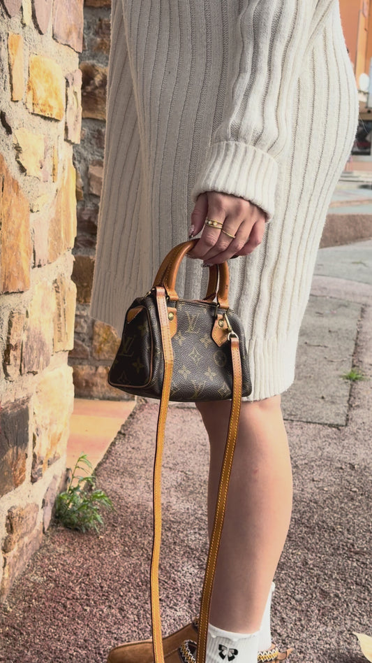 Louis Vuitton Speedy nano